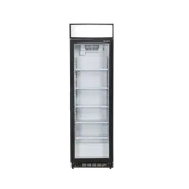 Frigorifer Felsen SDS 385 DC 1 CF No Frost