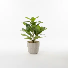 Vazo Qeramike me Lule Artificiale Jeshile