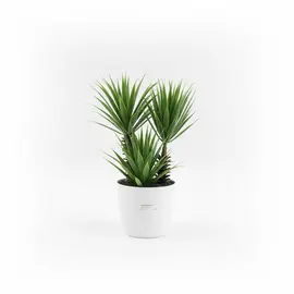 Lule Artificiale me Vazo Qeramike