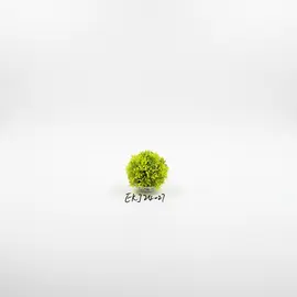 Lule Artificiale me Vazo Qeramike