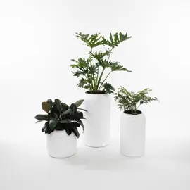 Vazo Plastike e Bardhë L