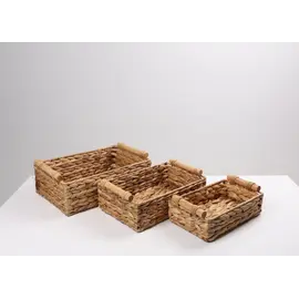 Kosh Organizimi / Kashte set/ Katrore