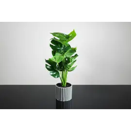 Vazo Dekorative me Lule