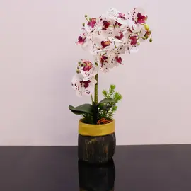 Vazo Dekorative me Lule Orkide