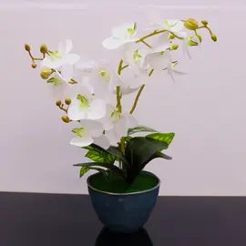 Vazo Dekorative me Lule