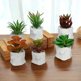 Vazo Dekorative me Lule