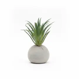 Vazo Dekorative me Lule