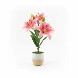 Vazo Dekorative me Lule / Zambak