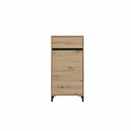 Kabinet I vogel Aron