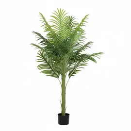 Lule / Palme 12 Dege / 1.1m