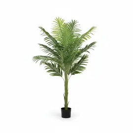 Lule / Palme 18 Dege / 1.4m