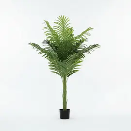 Lule / Palme 27 Dege / 1.7m
