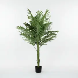 Lule / Palme 36 Dege / 2m