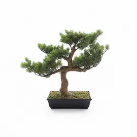 Vazo Dekorative me Lule