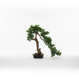 Vazo Dekorative me Lule