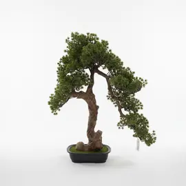 Vazo Dekorative me Lule