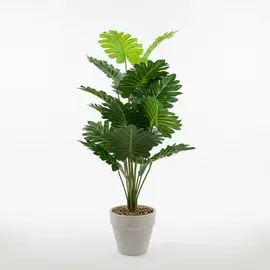 Ore Muri / Rreth / Kornize Gold / Streh Gold