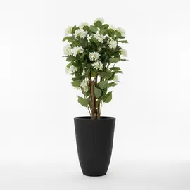 Vazo Dekorative M / 43*43*60cm / Ash Stone