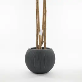 Vazo Dekorative / 37*37*30cm / Mediterranean Black S/M