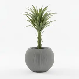 Vazo Dekorative / 37*37*30cm / Mediterranean Black S/M