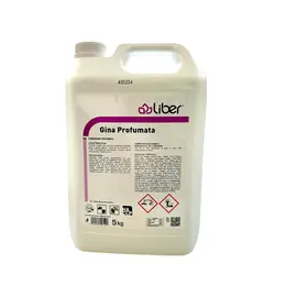 Candeggina (ACE )me arome  GINA PROFUMATA 5 KG