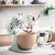 MIKSER STATIK KITCHENDAID-5KSM175PSEPT Pistachio, 5 imazh