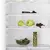 Frigorifer  Electrolux Incaso LNT2LF18S 267 L, 3 imazh