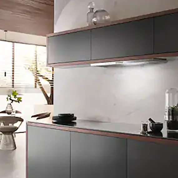 ASPIRATOR INKASO MIELE DAS 2920 Stainless Steel, 2 imazh