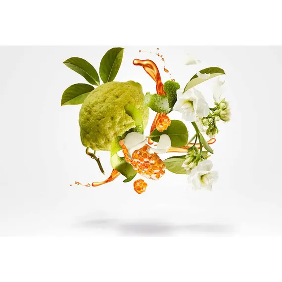 Parfum Xerjoff Naxos EDP 100 ml – Aromë Orientale Pikante me Vanilje dhe Duhan Unisex, 3 imazh