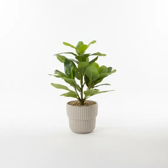 Vazo Qeramike me Lule Artificiale Jeshile