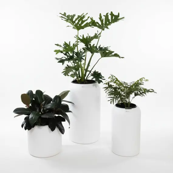 Vazo Plastike e Bardhë S