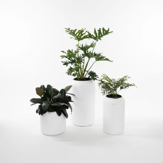 Vazo Plastike e Bardhë L