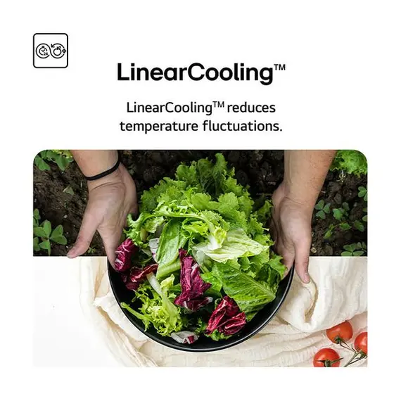 Frigorifer LG GBBSJ10DEP 333L No Frost Inverter ThinQ WiFi Klasa D Matte Black, 15 imazh