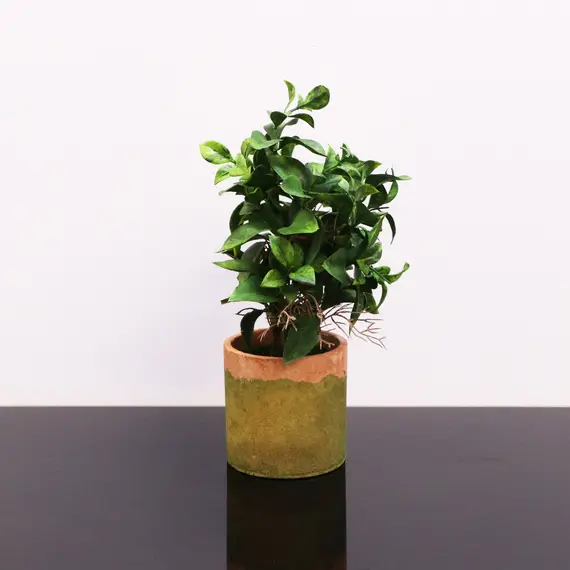 Vazo Dekorative me Lule