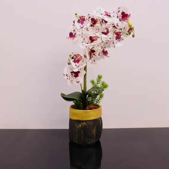 Vazo Dekorative me Lule Orkide