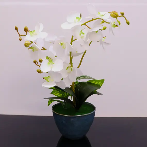 Vazo Dekorative me Lule