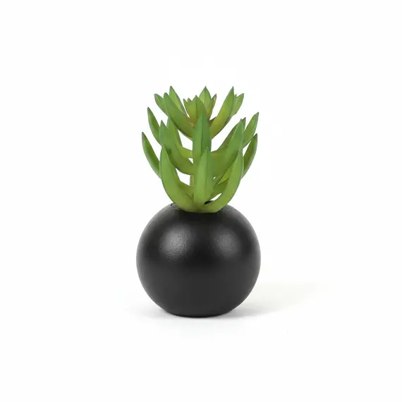 Lule Artificiale, 4 imazh