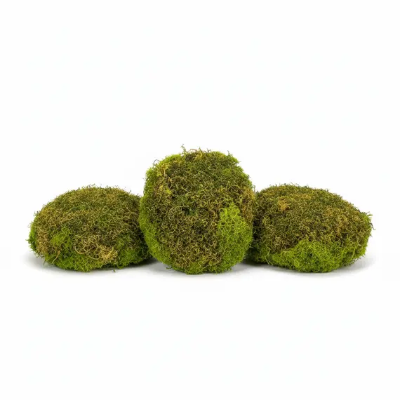 Lule Dekori Imitim Gure Bari