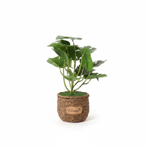 Vazo Dekorative me Lule