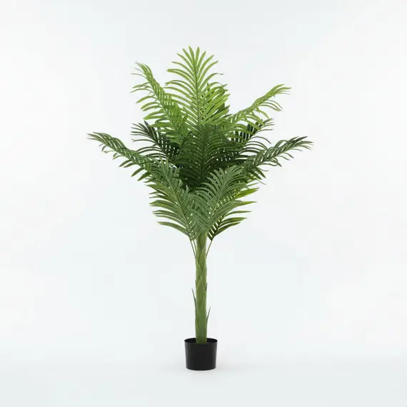 Lule / Palme 27 Dege / 1.7m