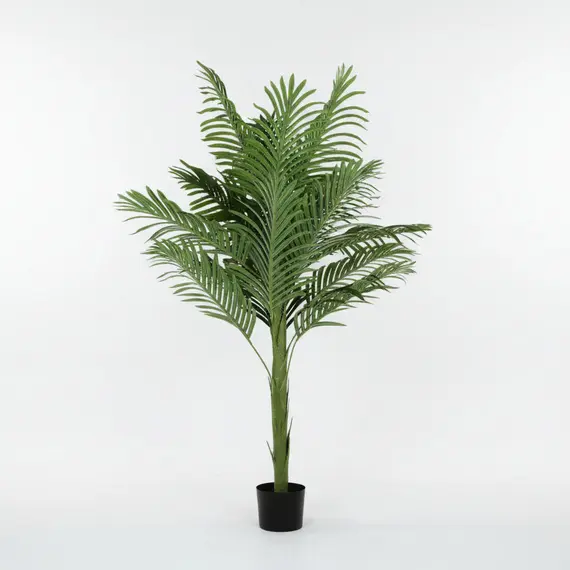 Lule / Palme 36 Dege / 2m