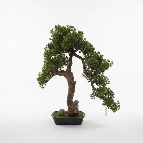 Vazo Dekorative me Lule