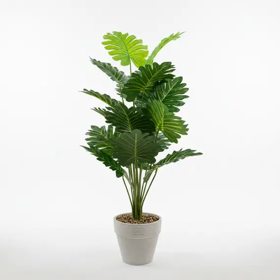 Ore Muri / Rreth / Kornize Gold / Streh Gold