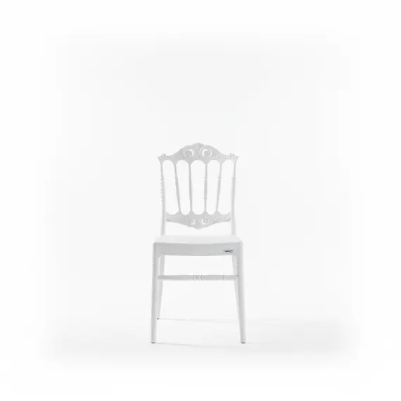 Karrige Dasme e Bardhe Lily