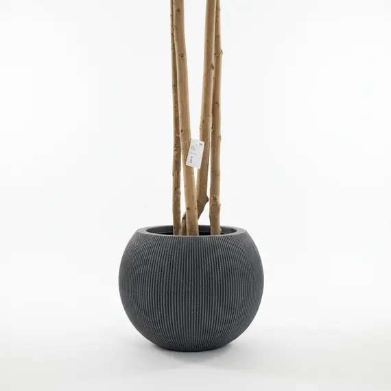 Vazo Dekorative / 37*37*30cm / Mediterranean Black S/M