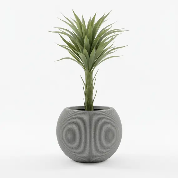 Vazo Dekorative / 37*37*30cm / Mediterranean Black S/M