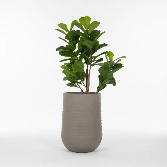 Vazo Dekorative L / 53*53*69.5cm / Cement Grey