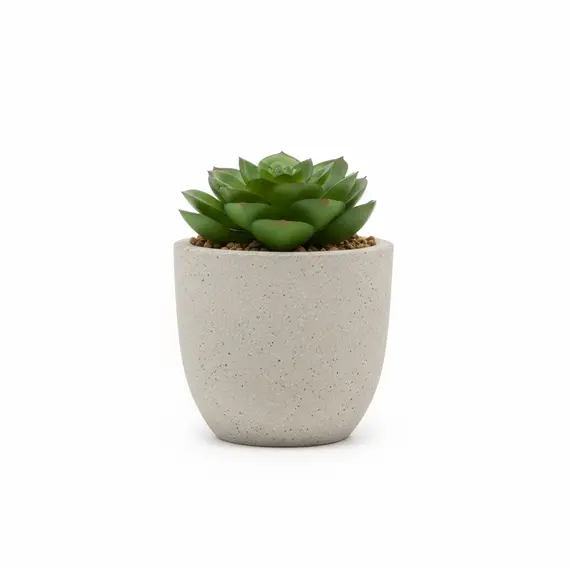 Set Tavoline me xham + 4 Karrige+Vazo dekorative dhurate, 3 imazh