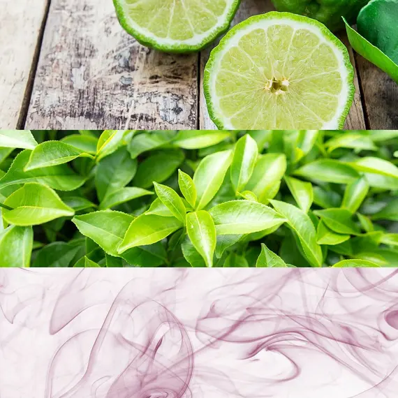 Parfum Unisex Calvin Klein CK One EDT (50 ml), 2 imazh