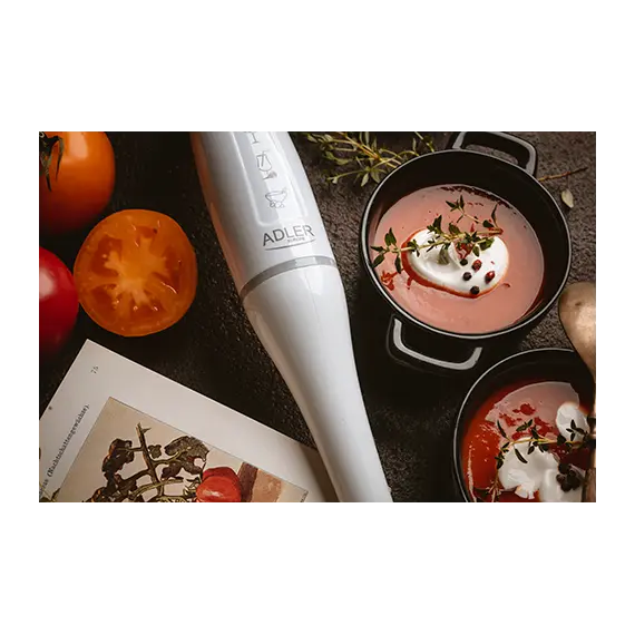 BLENDER ADLER AD 4622, 10 imazh